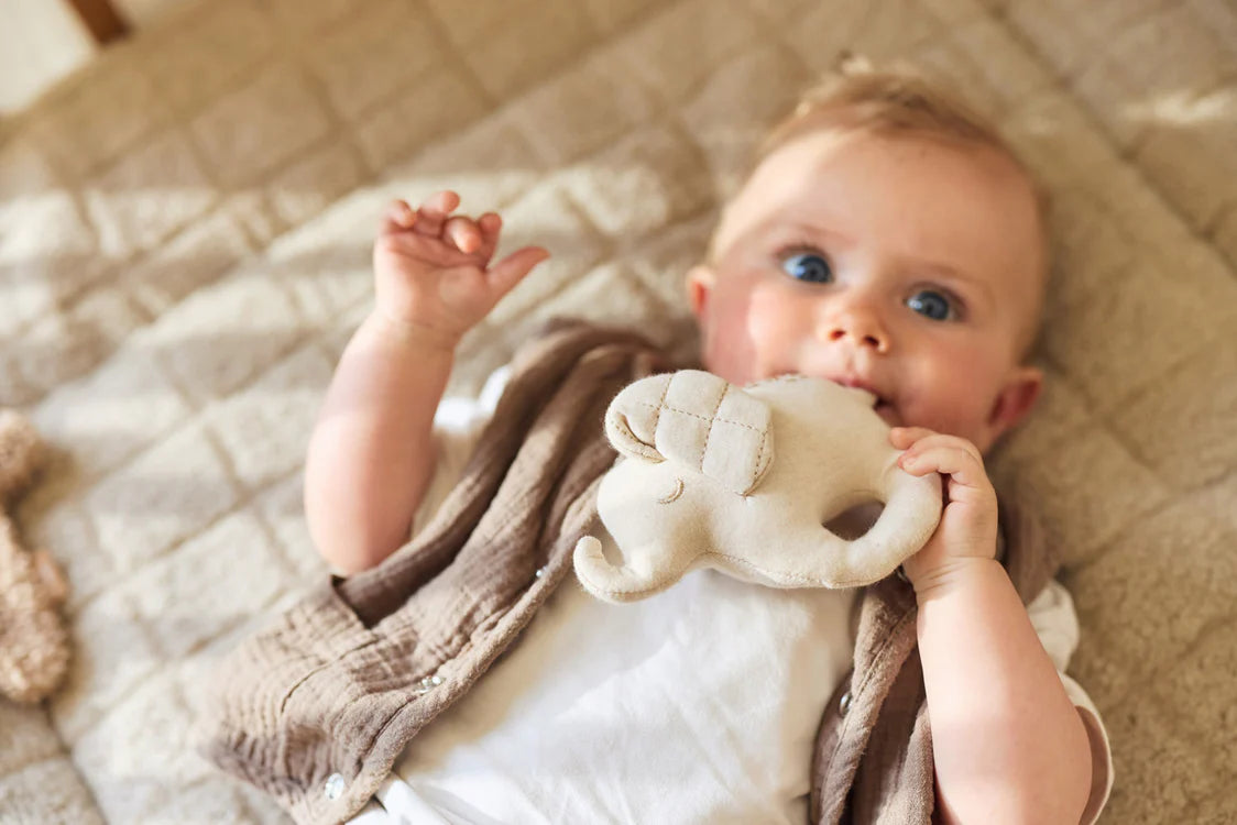 Jollein Rammelaar - Elephant Tales