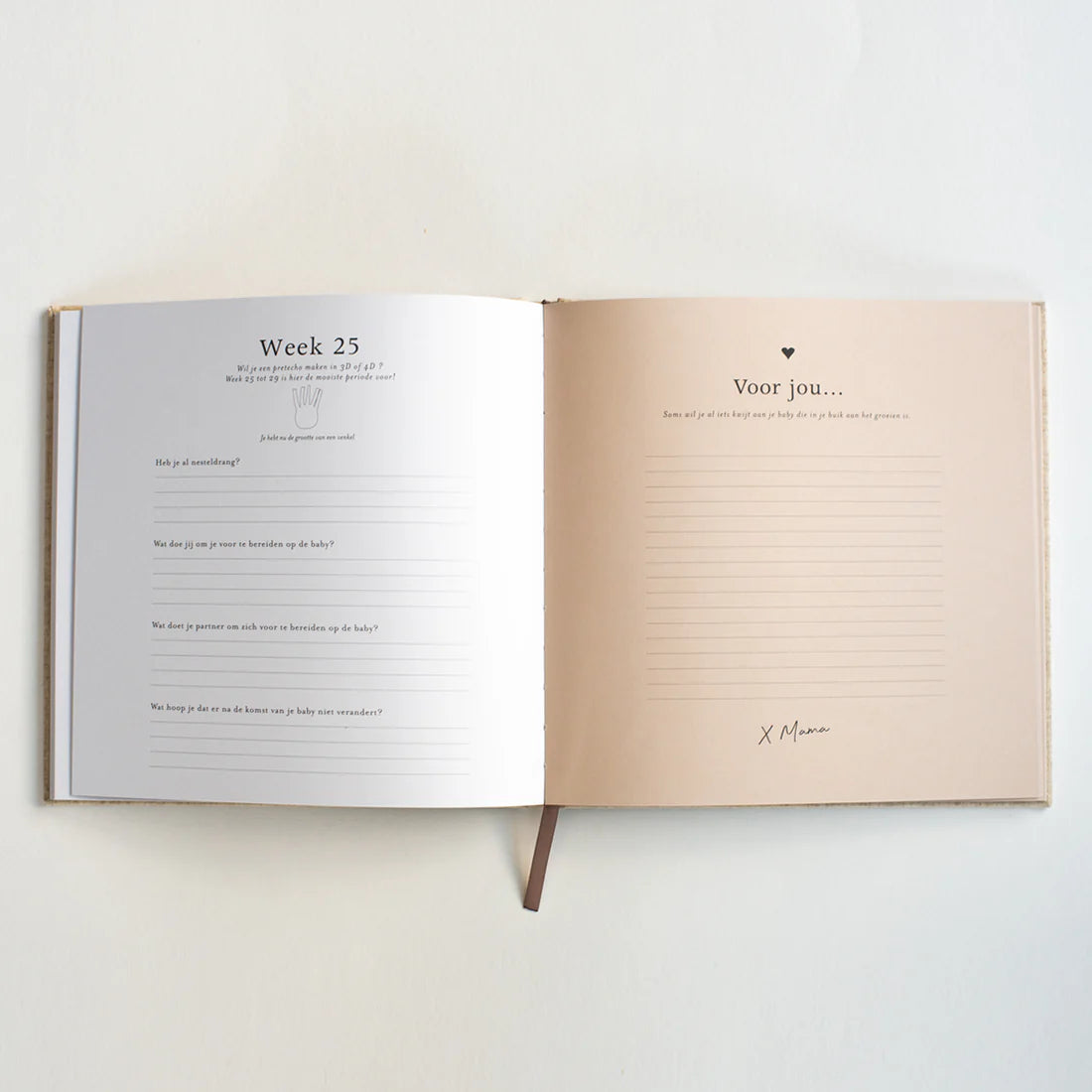 Zwangerschapsinvulboek