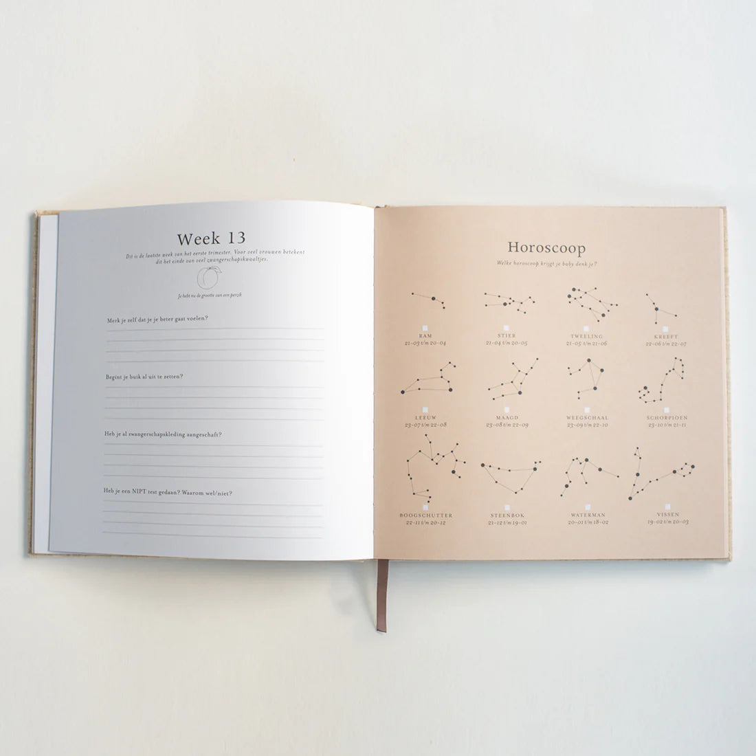 Zwangerschapsinvulboek