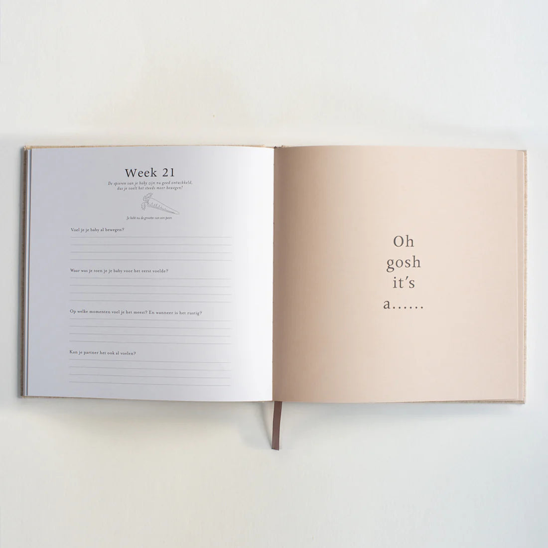 Zwangerschapsinvulboek