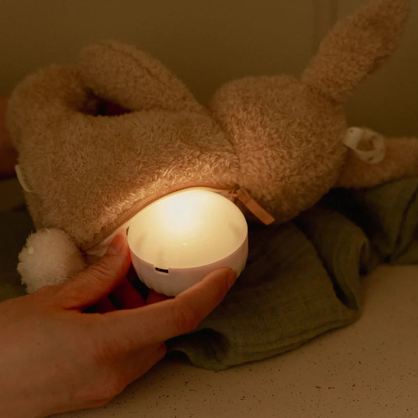 Little Dutch Knuffelkonijn Licht & Geluid
