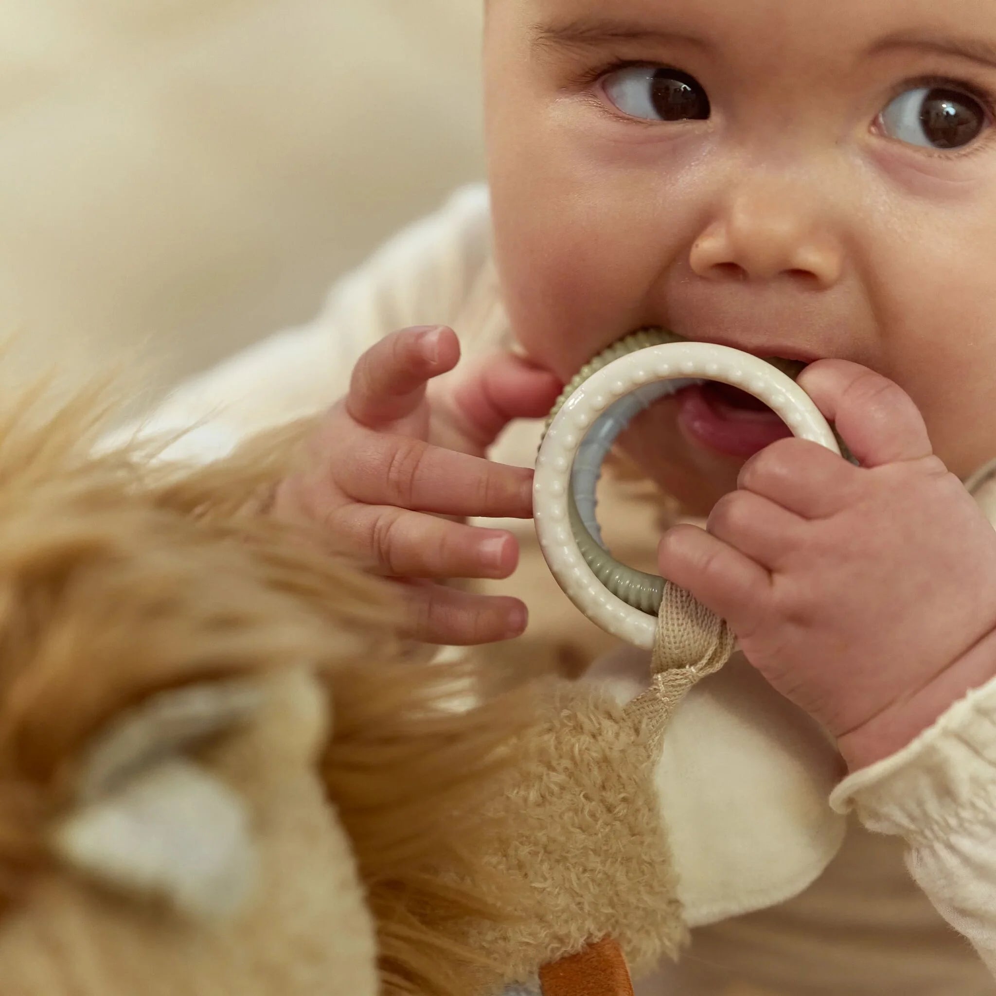 Little Dutch Activiteitenknuffel Leeuw