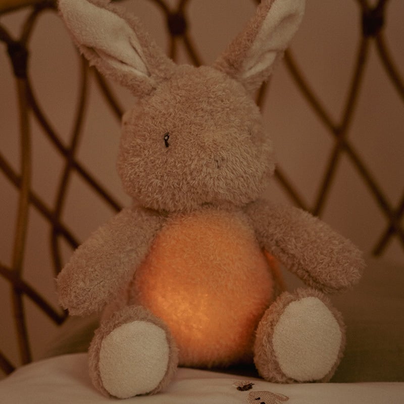 Little Dutch Knuffelkonijn Licht & Geluid