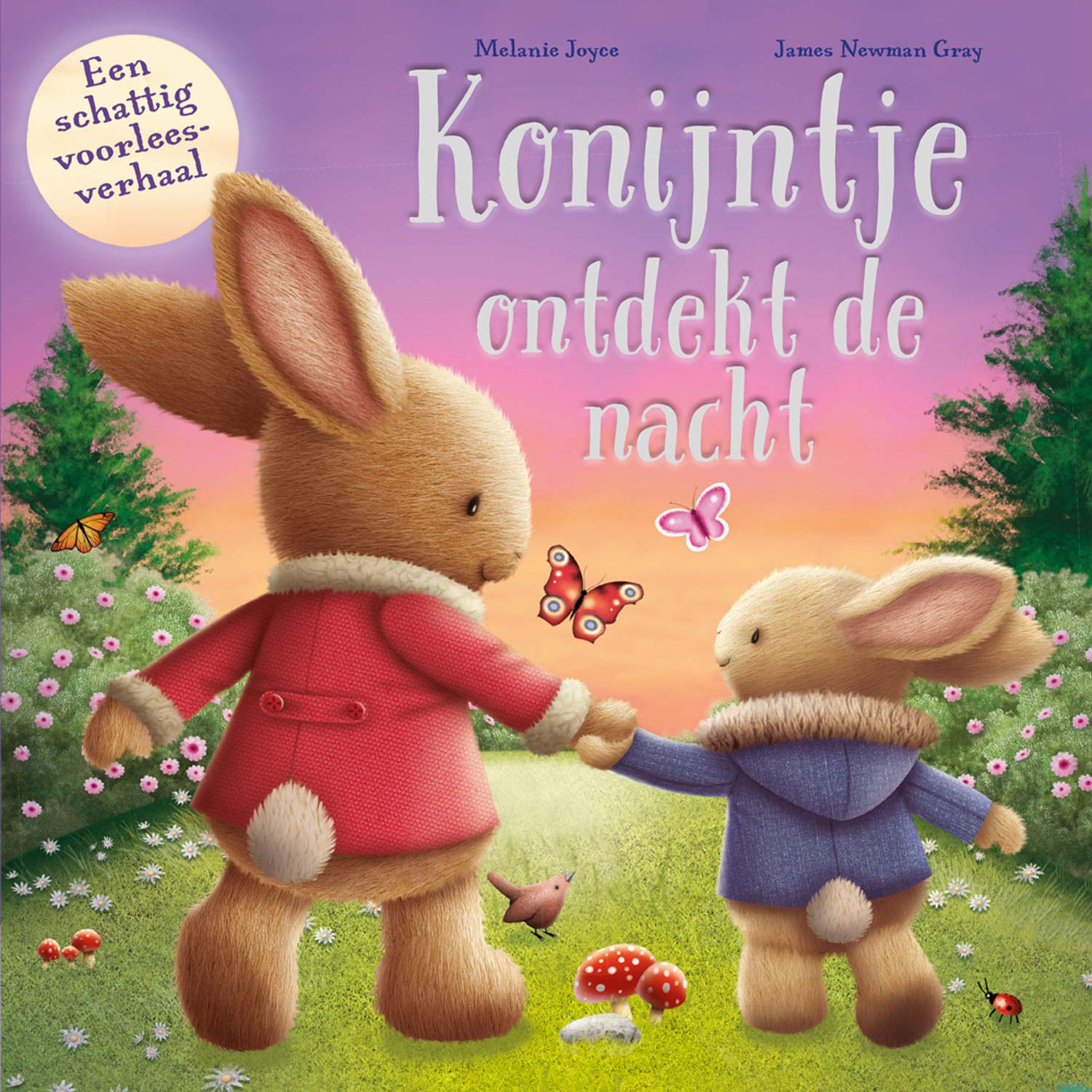 Voorleesboek Konijntje ontdekt de nacht